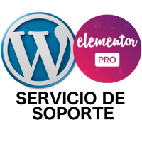 Elementor PRO Services