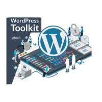 WordPress Toolkit Services